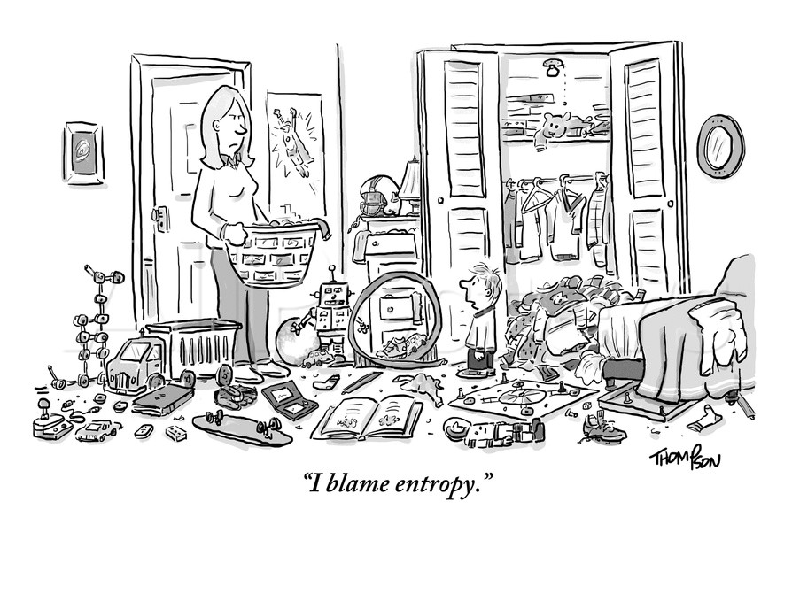 Blame_It_On_Entropy_New_Yorker